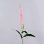 Decorative speedwell RUNHERDA, pink, 30"/75cm