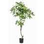 Artificial pachira tree CANTSA, artificial trunk, 5ft/150cm