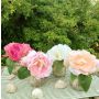Artificial peony bouquet VEIKO in glass vase, apricot-cream, 6"/15cm