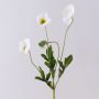 Artificial poppy branch OXANDRINE, cream-white, 24"/60cm