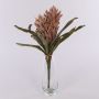 Velvet guzmania WALFRIEDE on spike, dusky pink, 20"/50cm