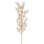 Decorative gaultheria branch BLERTO, berries, champagne, 22"/55cm