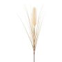 Artificial pampas grass panicule WALNIN, beige, 3ft/100cm
