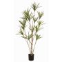 Artificial Dracaena marginata SHALLU tree, artificial trunks, green, 6ft/180cm