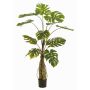 Artificial plant: Philodendron monstera deliciosa KORVEX, aerial roots, 5ft/150cm