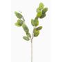 Artificial branch Lunaria JUDITHA, green, 28"/70cm
