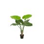 Artificial plant Alocasia Calidora NICAS, decorative pot, green, 3ft/90cm