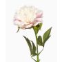 GAVRON artificial peony, white and pink, 55cm