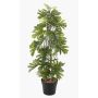 Artificial Philodendron selloum BRINOL, decorative pot, aerial roots, 31"/80cm
