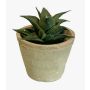 Artificial Haworthia limifolia GLOFER succulent in a terracotta pot, dark green, 13cm
