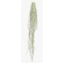Artificial succulent Tillandsia usneoides BRAVIK, on a stake, flame-retardant, grey, 5ft/150cm