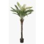 Artificial date palm ZOLTER, crossdoor, 150cm