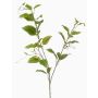 Decorative clematis branch VLORIX, green-cream, 3ft/105cm