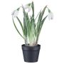 Decorative flower Snowdrop WASFA in decorative pot, snow-covered, white, 8"/20cm