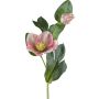 Artificial flower Christmas rose DENDY, pink-green, 14"/35cm