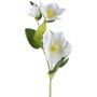 Artificial Christmas rose branch DENDY, frosted, white, 14"/35cm