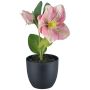 Artificial flower Christmas rose DENDY, decorative pot, pink, 7"/19cm
