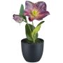 Artificial flower Christmas rose DENDY, decorative pot, violet, 7"/19cm