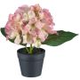Decorative flower Hydrangea LENDYN in decorative pot, pink-green, 8"/20cm