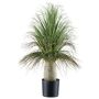 Decorative palm Grass tree COOSA, 24"/60cm