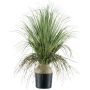 Decorative palm grass tree COOSA, 70cm