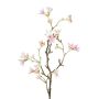Decorative branch Seven Son flower of Zhejiang GRIMKO, pink-cream, 20"/50cm