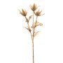 Artificial eryngium branch VORMEL, brown, 24"/60cm