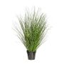 Decorative grass Zebra grass ZIRCO, green-yellow, 4ft/110cm