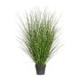 Decorative grass Zebra grass ZIRCO, green-yellow, 5ft/140cm