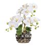 Decorative flower Phalaenopsis orchid BRULFEN, silvery decorative vase, white, 12"/30cm