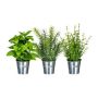 Artificial herb mix DRILHO, basil, rosemary, thyme, 3 pieces, zinc pot, green, 25cm, Ø16cm