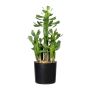 Artificial cactus Euphorbia trigona MANDOR, green, 16"/40cm