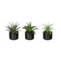 Decorative arrangement of succulents FLUKE in ceramic pot, 3 pieces, green, 6"/15cm