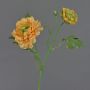 Artificial SAGARA ranunculus branch, apricot-green, 45cm, Ø5–9cm