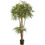 Decorative finger aralia tree KHIRIA, real trunks, green, 5ft/150cm