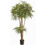Decorative finger aralia tree KHIRIA, real trunks, green, 5ft/150cm
