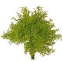 Artificial moss fern PADMA on a stake, green-brown, 23cm, Ø20cm