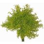 Artificial moss fern PADMA on a stake, green-brown, 9"/23cm, Ø8"/20cm