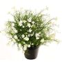 Decorative Impatiens GISINDA in decorative pot, white-green, 16"/40cm