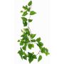 Decorative plant Pothos garland SHELLEY on spike, Eco Collection, green, 22"/55cm