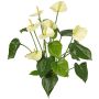Artificial anthurium NAKITA on a stem, cream, 20"/50cm