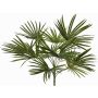 Artificial Washingtonia palm SAIMA on a stand, crossdoor, 20"/50cm