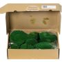 Real sheet moss SEETHA, green, 800g, 0.15m²