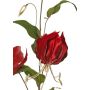 Velvet Gloriosa branch DINFAS, dark red and gold, 80 cm