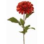 Velvet dahlia TINFAS, dark orange, 24"/60cm, Ø5.1"/13cm