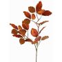 Velvet beech branch GALFHY, copper, 28"/70cm