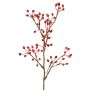 Decorative wild rose branch HIKERNO with rose hips, red, 24"/60cm