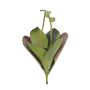 Synthetic water lily leaf ADELMO on spike, crossdoor, green, 18"/45cm