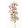 Artificial phlox ALSA, white-pink, 14"/35cm, Ø2.4"/6cm