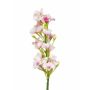 Artificial phlox ALSA, white-pink, 14"/35cm, Ø2"/5cm